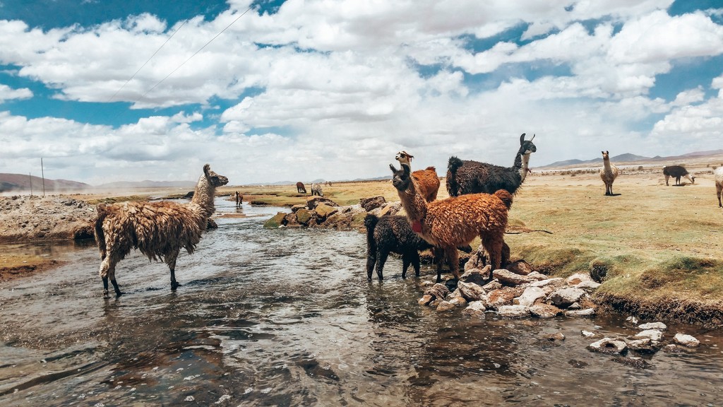 20 Best Backpacking Destinations Around The World